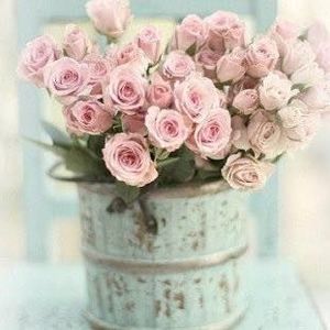 Meet your Posher, Jolene